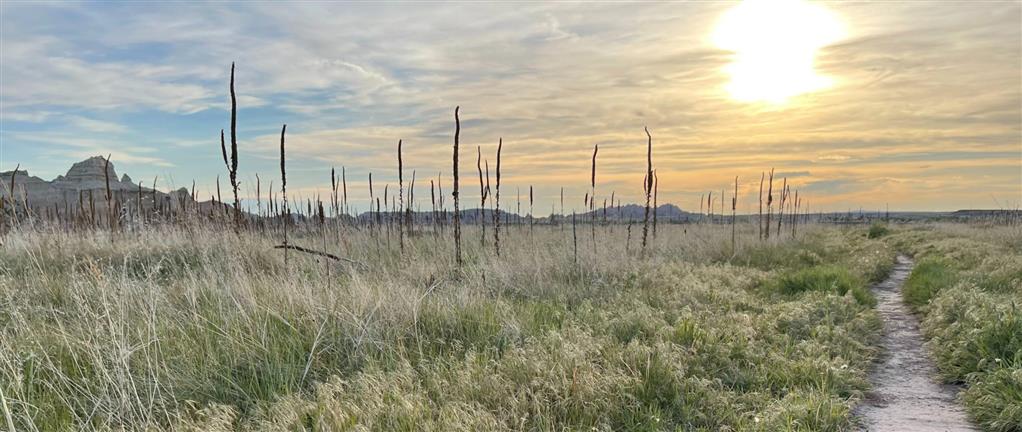 Caring for the Body, Healing for the Soul: Marion Dicke