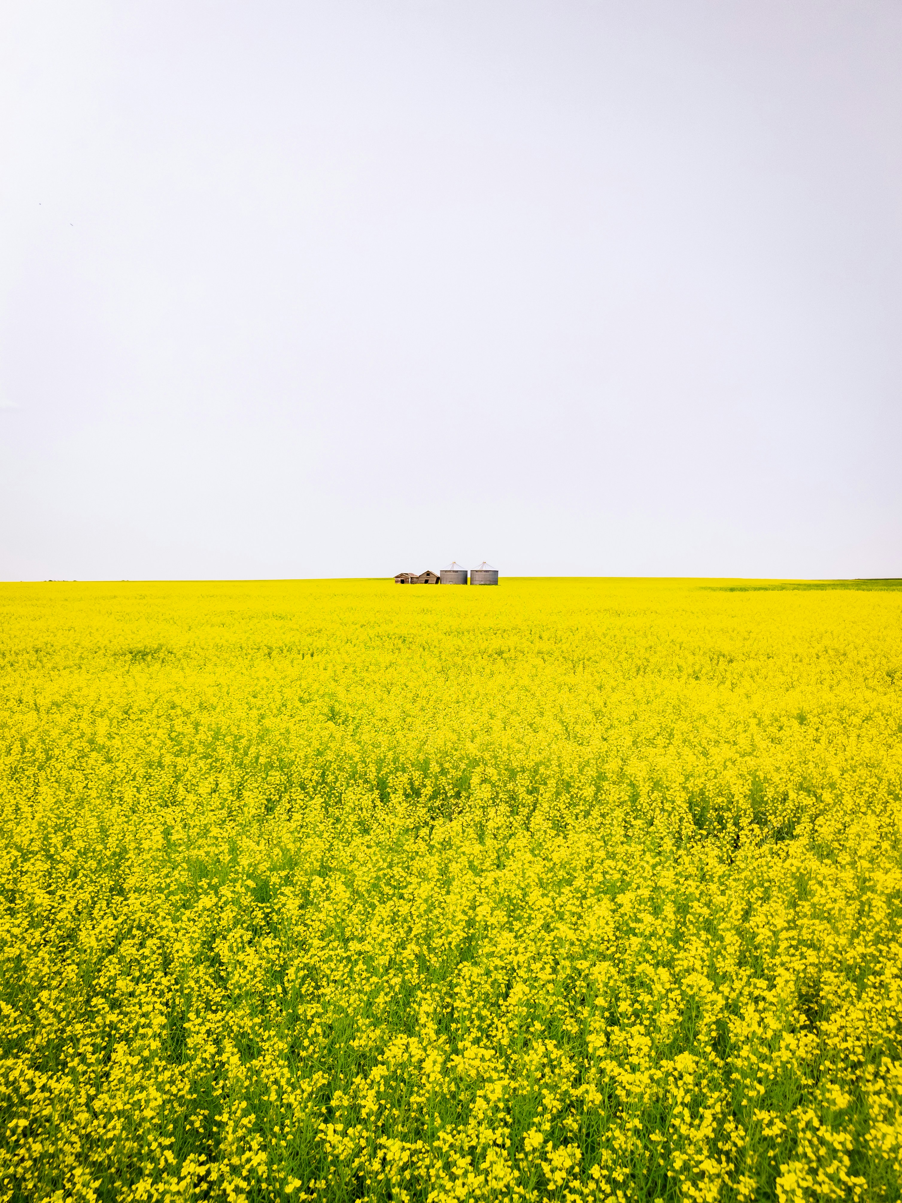 Staying Curious on the Yellowhead Highway