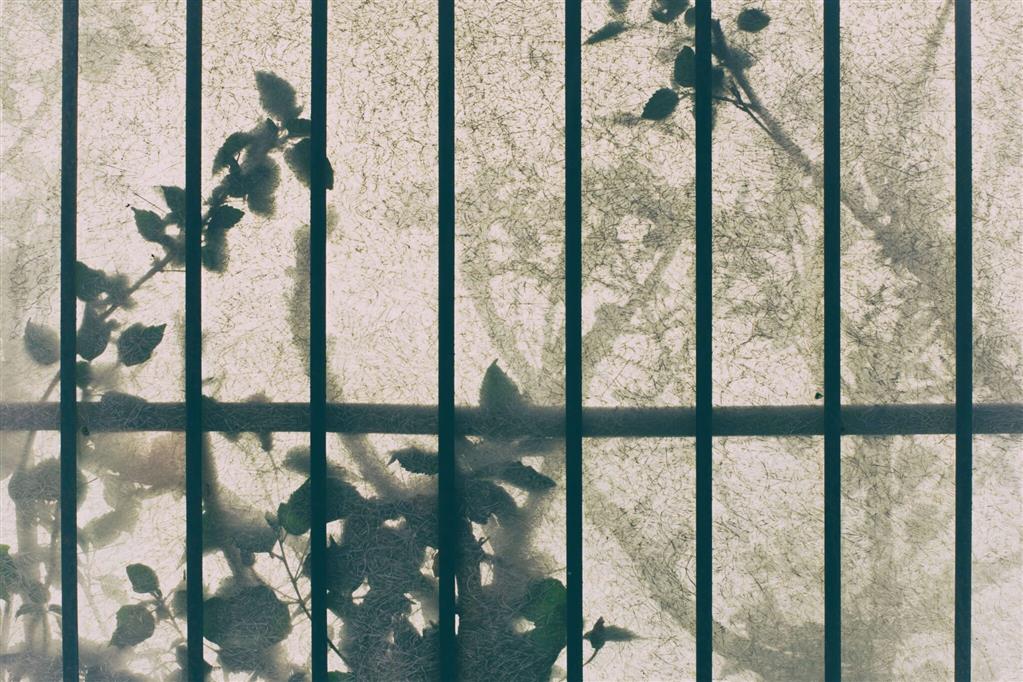 Joy Awaits Behind Bars